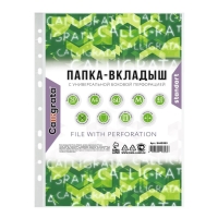 Файл-вкладыш А4, 40 мкм, Calligrata, матовый, вертикальный, 50 штук