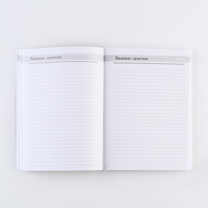 Ежегодник «Учителю: С днём учителя», формат А5, 160 листов, мягкая обложка Ежегодник «Учителю: С днём учителя», формат А5, 160 листов, мягкая обложка