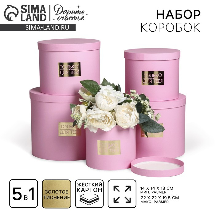 Набор шляпных коробок для цветов 5 в 1, упаковка подарочная, «Нежность», 14 х 13 см - 22 х 19,5 см Набор шляпных коробок для цветов 5 в 1, упаковка подарочная, «Нежность», 14 х 13 см - 22 х 19,5 см