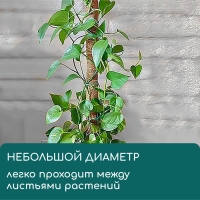 Опора для подвязки растений, h = 50 см, d = 5 см, кокосовая, Greengo