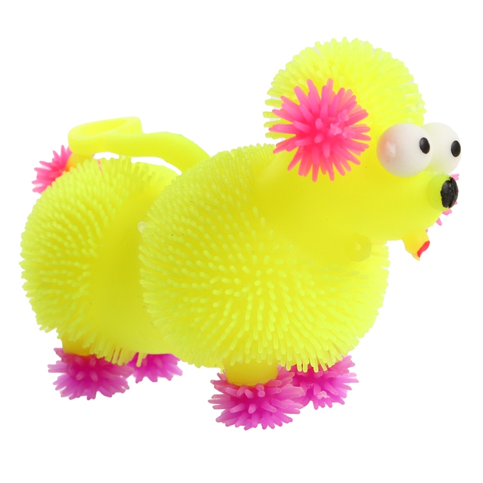 Мяч детский резиновый ёжка световой «Пудель», цвета МИКС , в шоубоксе Мяч детский резиновый ёжка световой «Пудель», цвета МИКС , в шоубоксе