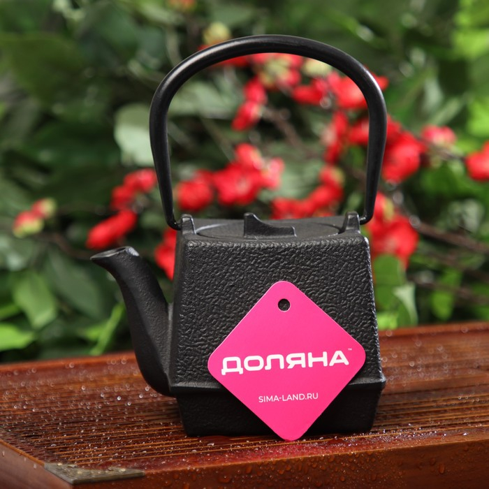 Чайник для плиты Доляна «Бокей. Этно», 700 мл, с ситом, чугун, с эмалированным покрытием, индукция, цвет чёрный