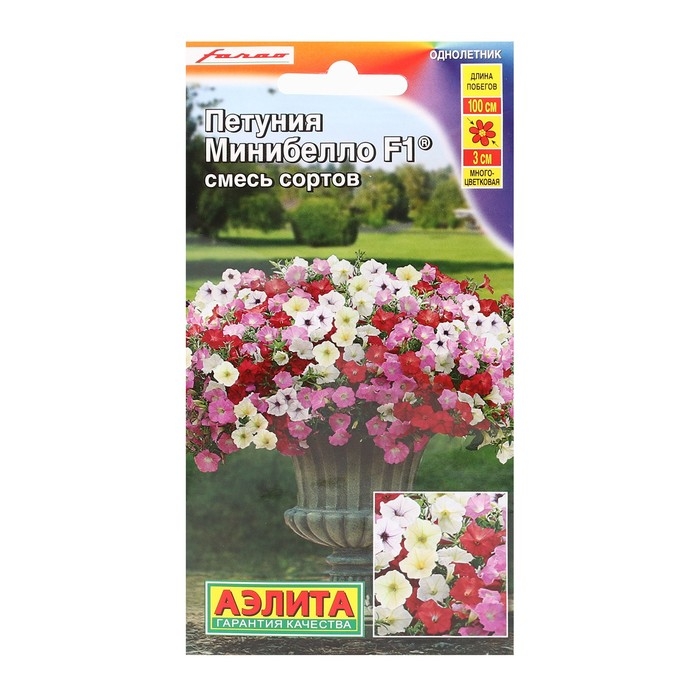 Семена Петуния мини Минибелло F1, смесь окрасок 7 шт Семена Петуния мини Минибелло F1, смесь окрасок 7 шт