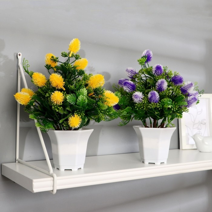 Бонсай в горшке Бонсай в горшке "Каллистефус галант" 21х23 см, микс