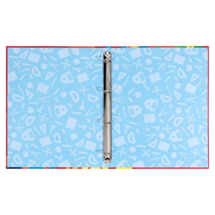 Папка школьная на кольцах «Портфолио ученика начальной школы», без разделителей, 24,5 х 32 см.