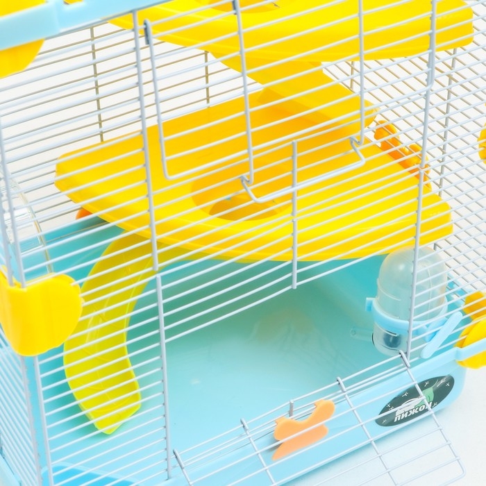 Клетка для грызунов Клетка для грызунов "Пижон", 31 х 24 х 46 см, голубая