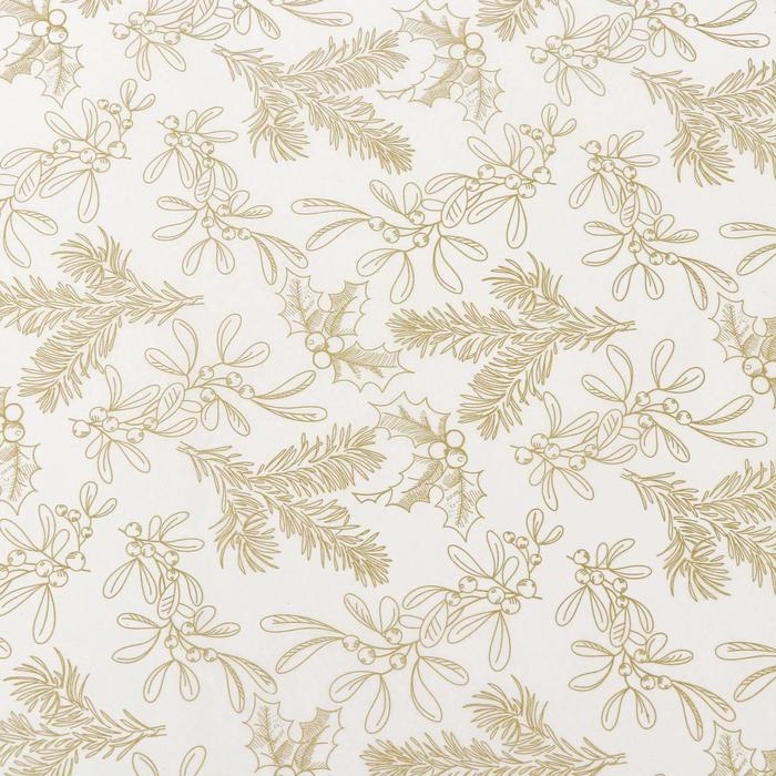 Бумага силиконизированная «Веточки и ягодки», для выпечки, 0,38 х 5 м Бумага силиконизированная «Веточки и ягодки», для выпечки, 0,38 х 5 м