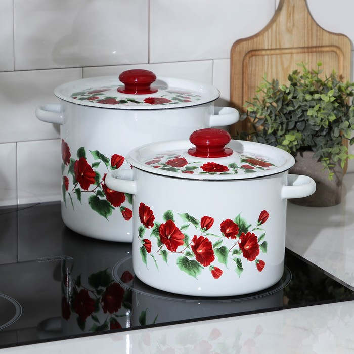 Набор эмалированных кастрюль «Рамо», 2 предмета: 3,5 л, 5,5 л Набор эмалированных кастрюль «Рамо», 2 предмета: 3,5 л, 5,5 л