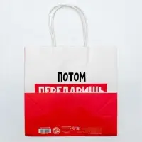 Пакет подарочный новогодний &laquo;Потом передаришь&raquo;, 22&times;22&times;11 см