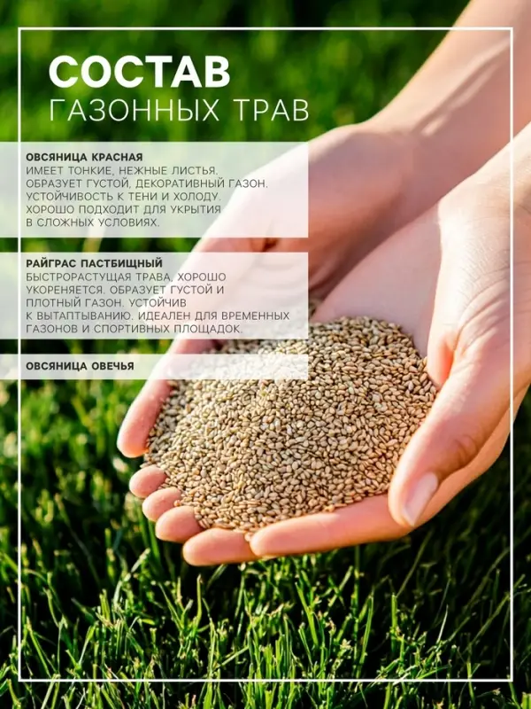 Газонная травосмесь &laquo;Теневыносливая&raquo;, 5 кг