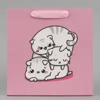 Пакет подарочный ламинированный квадратный, упаковка, &laquo;Котики&raquo;, 22&times;22&times;11 см