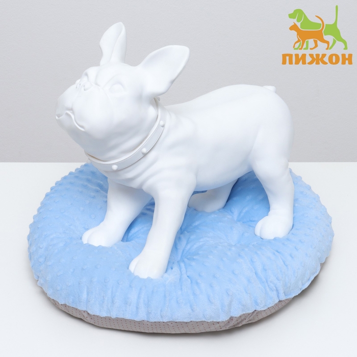 Лежак для животных  Лежак для животных "Нежность", 50 х 50 х 10 см, голубой