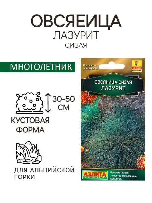 Семена Овсяница сизая Лазурит Мн Золотая серия Ц/П 5шт Семена Овсяница сизая Лазурит Мн Золотая серия Ц/П 5шт