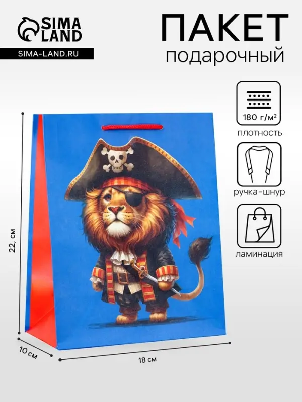 Пакет подарочный ламинированный &laquo;Пират&raquo; 18&times;22.3&times;10 см
