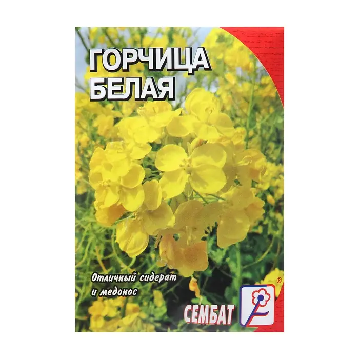Семена Горчица Белая 20 г Семена Горчица Белая 20 г