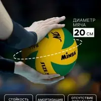 Волейбольный мяч MINSA, клееный, 8 панелей, р. 5, PVC