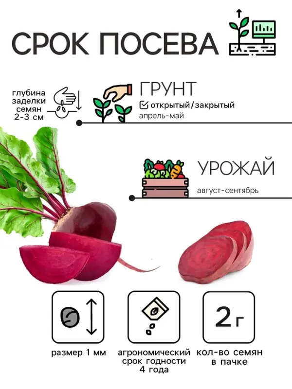 Семена Свекла &laquo;Фурор&raquo; округлая, 2 г, &laquo;Уральский дачник&raquo;