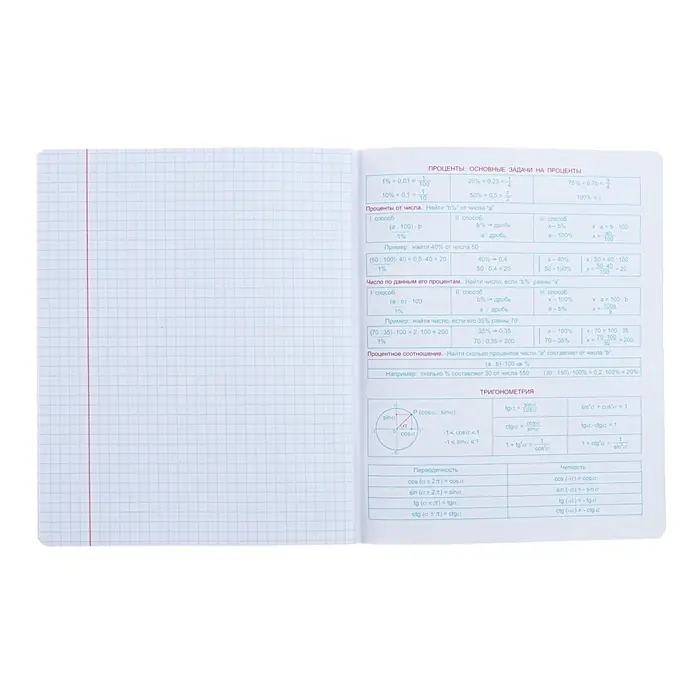 Тетрадь предметная "Неоновые истории", 48 листов в клетку, "Алгебра", обложка мелованный картон, ВД-лак, неон, блок офсет