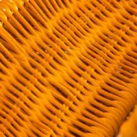 Корзина для пикника, 25&times;22&times;28 см, ротанг