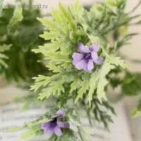 Букет «Луговой с цветами», 15 см (фасовка 5 шт., цена за 1 шт.), МИКС
