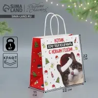 Пакет подарочный новогодний крафтовый &laquo;Котик&raquo;, 22&times;22&times;11 см