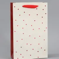 Пакет ламинированный &laquo;Важный момент&raquo;, 22.3&times;9&times;35 см