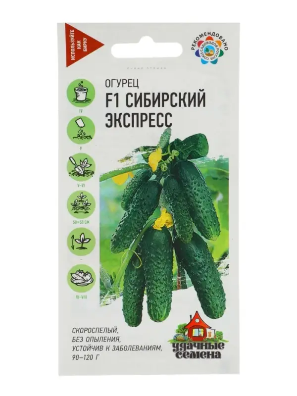 Семена Огурец &laquo;Сибирский экспресс&raquo;, F1, 10 шт., &laquo;Гавриш&raquo;