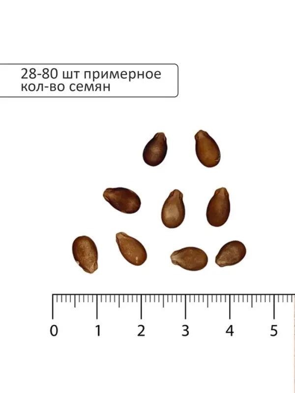 Семена Арбуз Астраханский Агроуспех Много-Выгодно 4г (120)