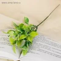 Букет искусственный «Листочки», с напылением, 20 см