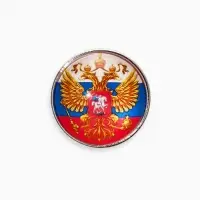 Брошь &laquo;Российская Федерация&raquo;, разноцветная в серебре