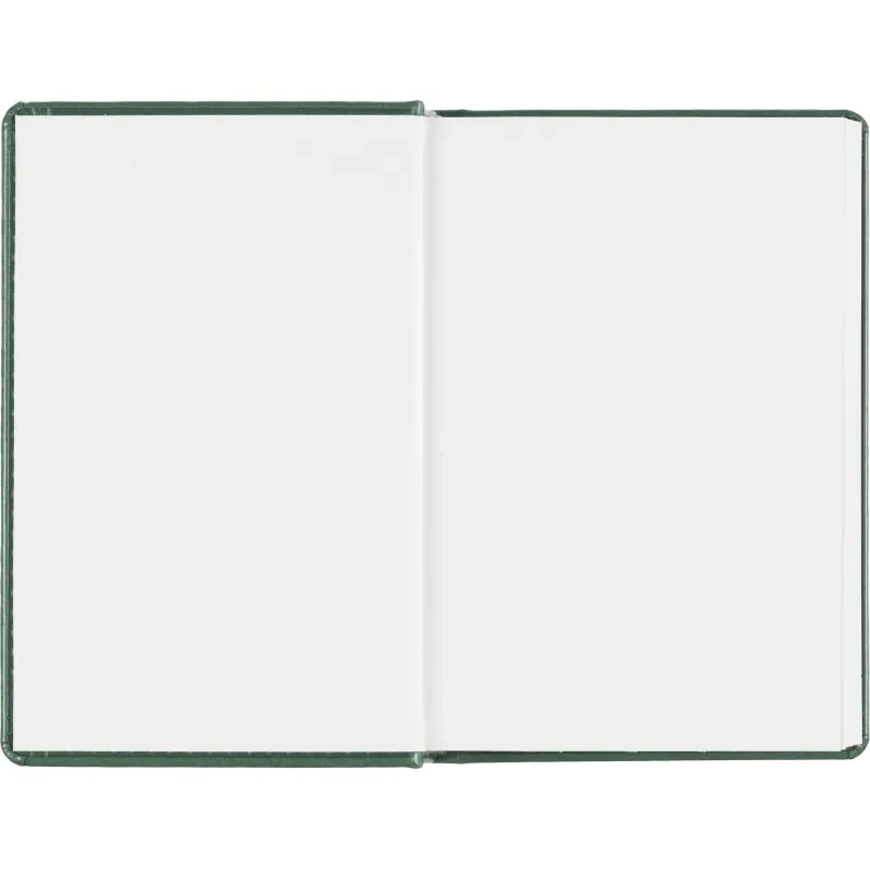 Ежедневник датированный 2026, зеленый,А6, 100х150 мм,336 стр,Agenda