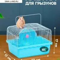 Клетка для грызунов &laquo;Пижон&raquo;, 23&times;17&times;17 см, голубая