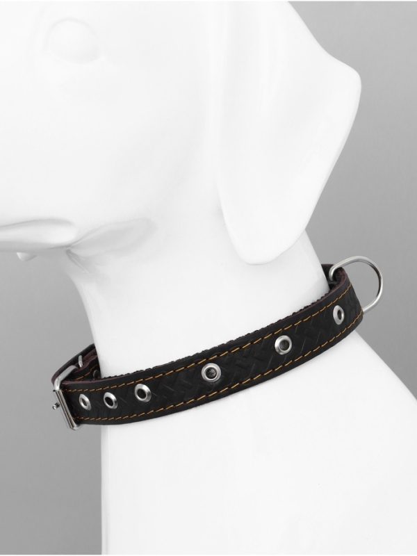 Ошейник кожаный усиленный капроном с полукольцом, 55 х 2,5 см, ОШ 27-53 см, коричневый Ошейник кожаный усиленный капроном с полукольцом, 55 х 2,5 см, ОШ 27-53 см, коричневый