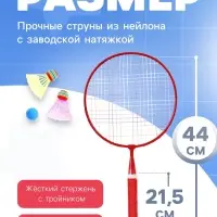 Набор для бадминтона ONLYTOP &laquo;Пони&raquo;: 2 ракетки 44 см, 2 волана, мяч, чехол, красный