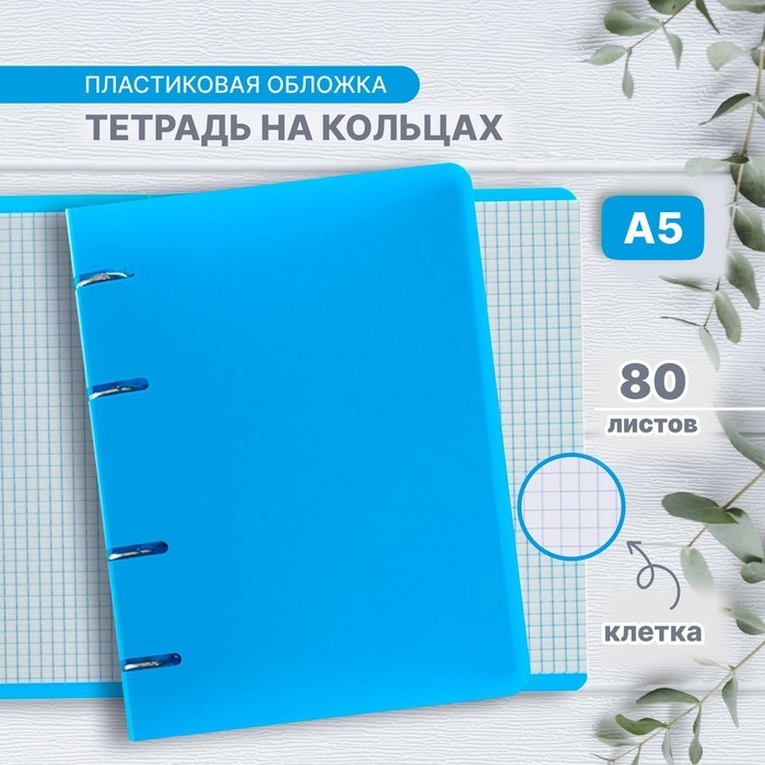 Тетрадь на кольцах A5 80 листов в клетку Calligrata Голубая, пластиковая обложка, блок офсет Тетрадь на кольцах A5 80 листов в клетку Calligrata Голубая, пластиковая обложка, блок офсет