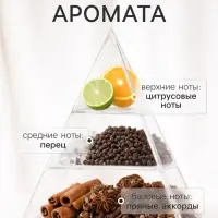 Наполнитель для ароматического диффузора XO The Accent, 100 мл