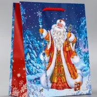 Пакет подарочный новогодний ламинированный, &laquo;Новогодний набор &raquo; , 18&times;10&times;22.3 см