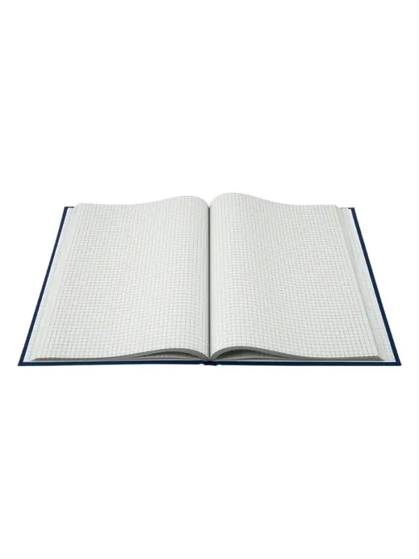 Книга учета, 96 листов, обложка бумвинил, блок газетный, клетка, синяя