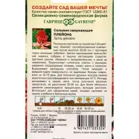 Семена цветов Сальвия Плейона* карликовая  4 шт.