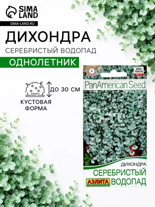Семена цветов Дихондра "Серебристый водопад", ц/п, 3 шт