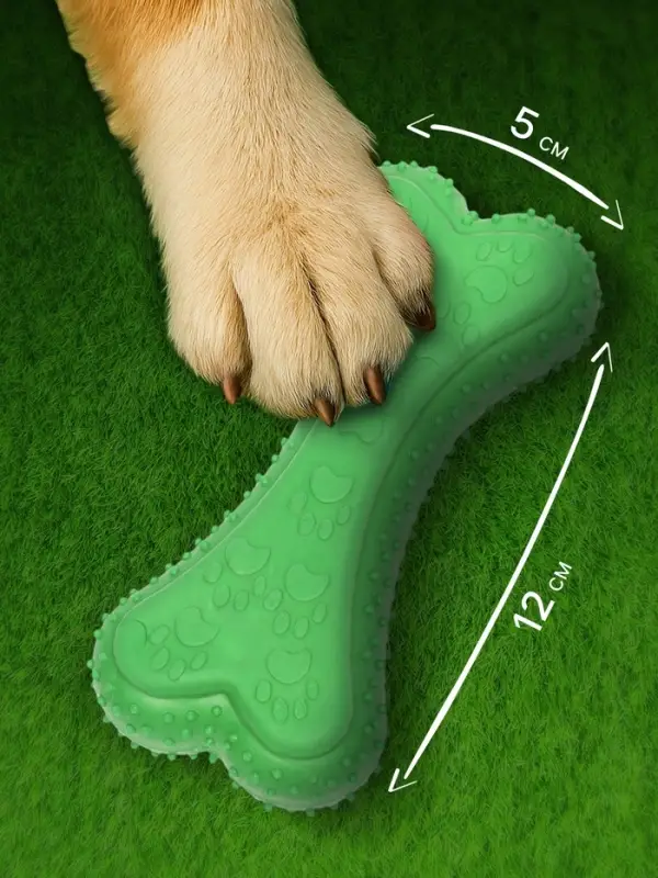 Жевательная игрушка для собак &laquo;Объемная кость с лапками&raquo;, 12 с, TPR, зелёная