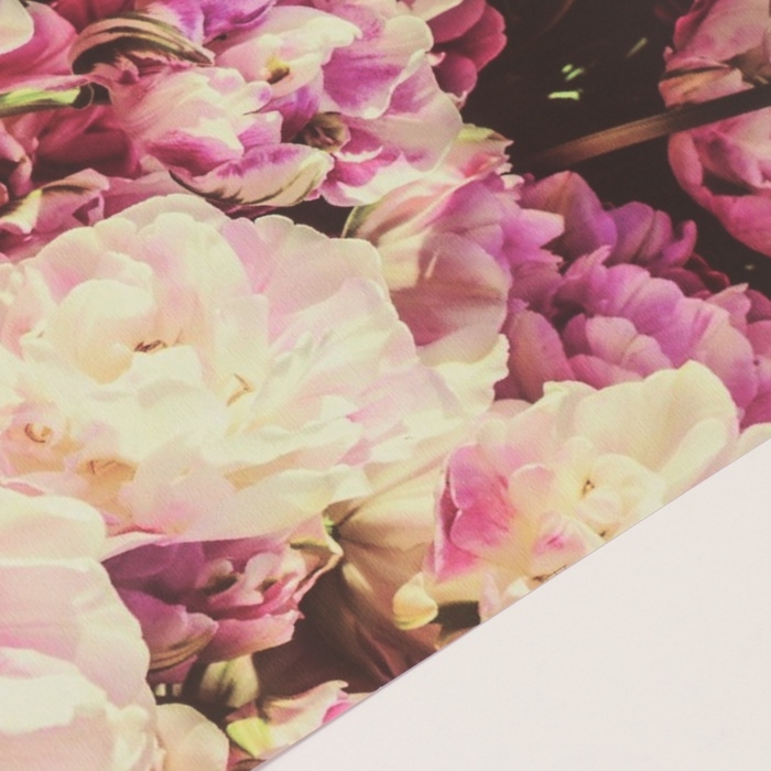 Фотофон двусторонний картон плотность 350 гр "Цветы" 50х50 см