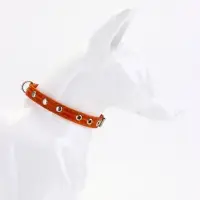 Ошейник кожаный однослойный украшенный, 1,2 см, ОШ 20-26 см микс цветов Ошейник кожаный однослойный украшенный, 1,2 см, ОШ 20-26 см микс цветов