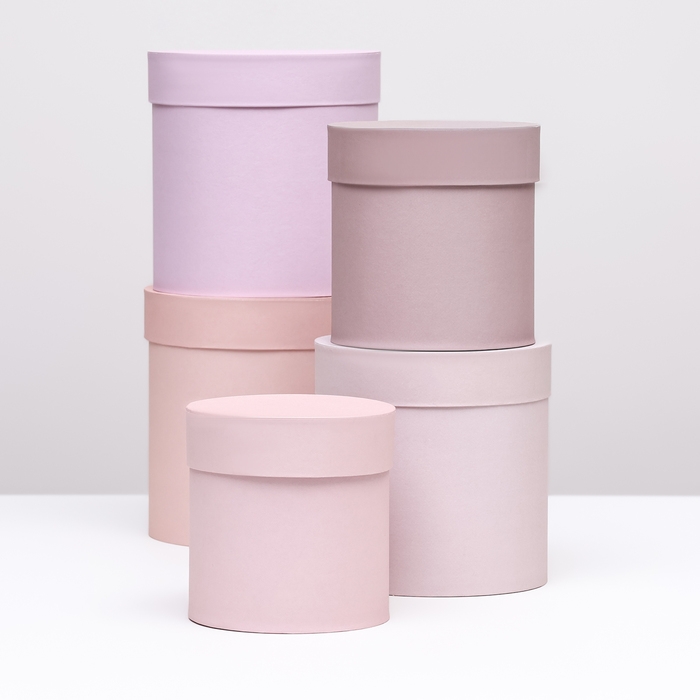 Набор шляпных коробок 5 в 1 "Пудра",20 × 20 × 20‒13,5 × 13,5 × 13,5 см