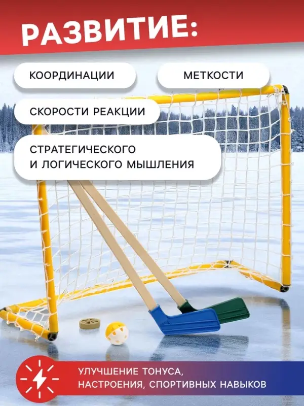 Набор для игры в хоккей (клюшка 2 шт., ворота, шайба, мяч), МИКС