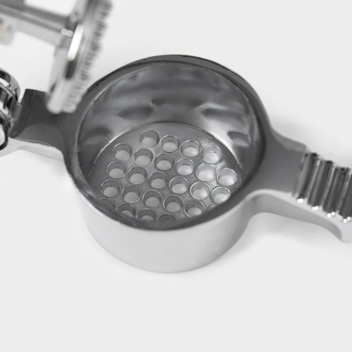 Пресс для чеснока Доляна «Велес», 16,5 см, цвет МИКС Пресс для чеснока Доляна «Велес», 16,5 см, цвет МИКС