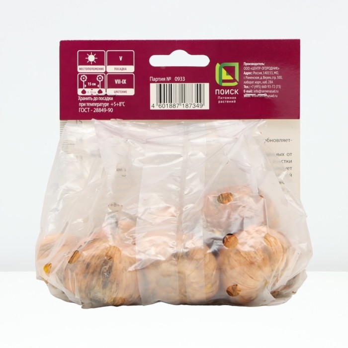 Гладиолус крупноцветковый «Вайн энд Роузес», луковица цветов в пакете с перфорацией, р-р 10/12, 10 шт.