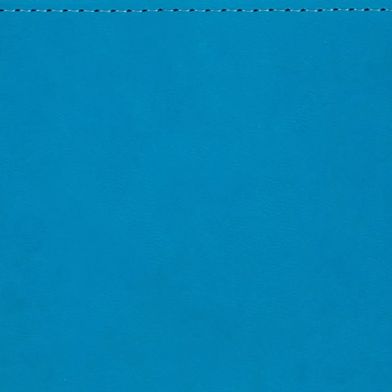 Ежедневник недатированный А5 145 х 205 мм Velvet син флуор 272 стр.3-115/07