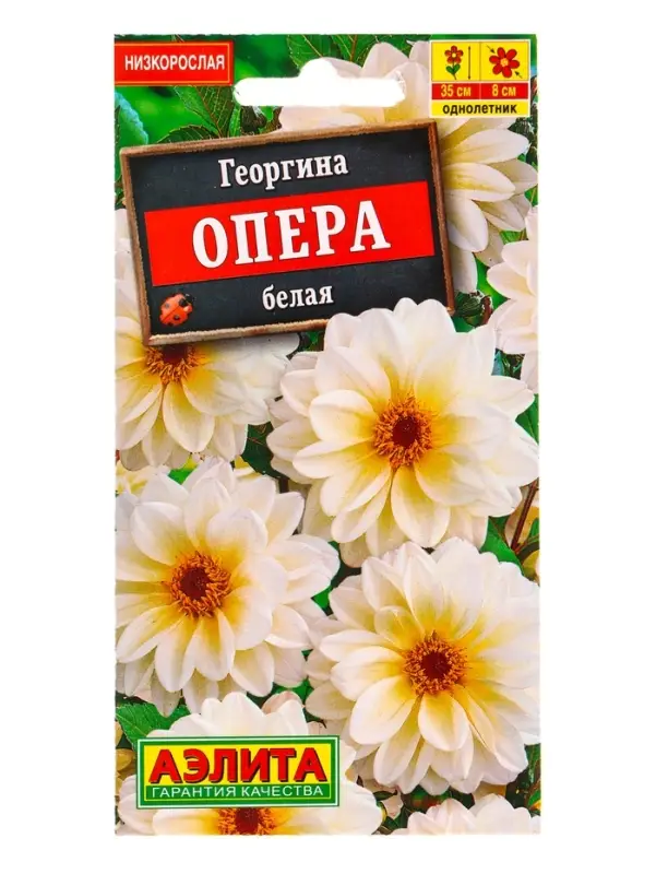 Семена цветов Георгина Опера белая , Ц/П,7 шт. Семена цветов Георгина Опера белая , Ц/П,7 шт.
