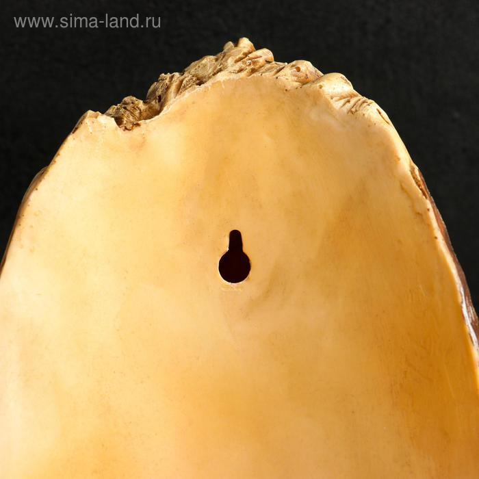 Подвесной декор  Подвесной декор " Птичка в дупле" 12х14х24см